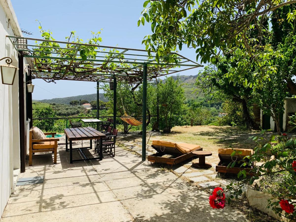 House Temenia